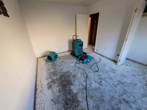 Best Water damage restoration experts  in Meade, KS