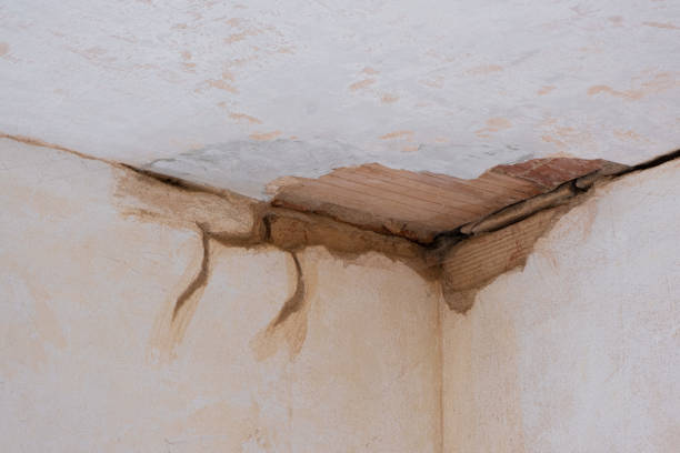Best 24/7 water damage repair  in Meade, KS
